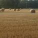 DSC00859.JPG